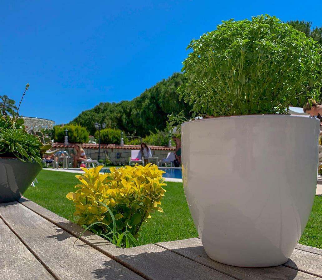 Salbakos Herakleia Boutique Hotel Alaçatı Eksteriør bilde